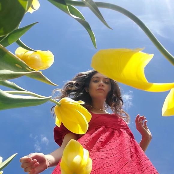 Meet your Posher, Savannah - Picture 1 of 1